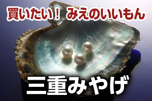 買いたい！みえのいいもん、三重みやげのホームページへ